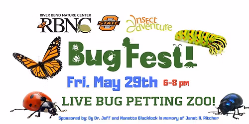 Bug Fest! 