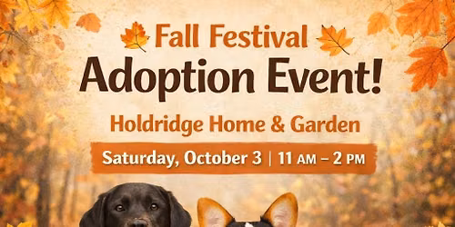Fall Fest Adoption Event at Holdridge Home & Garden, Ledyard
