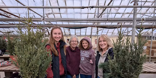 Treetop Arrangement Class