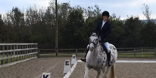 Dressage Competition