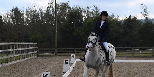 Dressage Competition