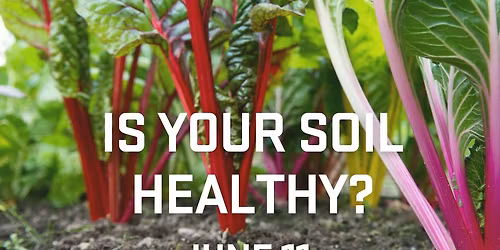 Workshop: Is your soil healthy?