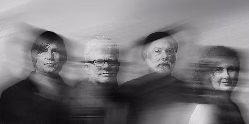 The New Pornographers