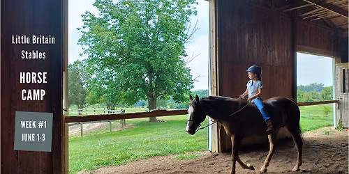 Summer Horse Camp: Week #1