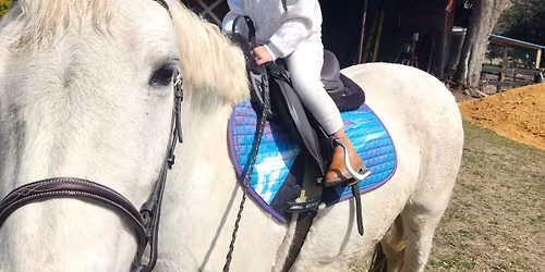 Children's Pony rides