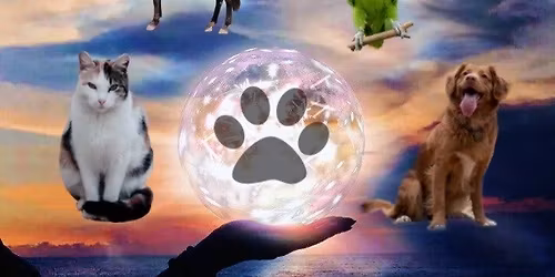 Animal Reiki Practitioner Workshop