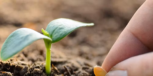 \ud83c\udf31 Community Seedling & Plant Swap \ud83c\udf31