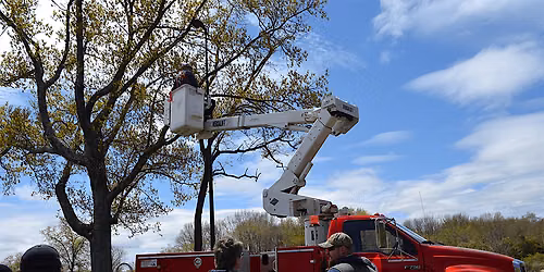 Fall Protection