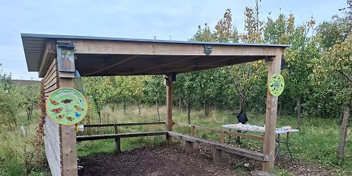 Family Forest school Christmas special 