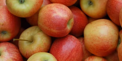 East Hants Farmers' Market - Pop-Up Market (December)