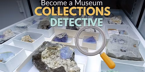 Become a Museum Collections Detective