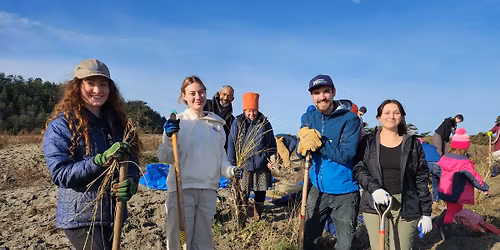 MLK Day of Service - Shoreline Restoration Event