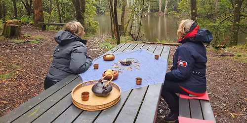 Forest Therapy Mt Macedon 2h