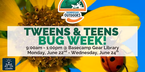 Tweens & Teens: Bug Week! 