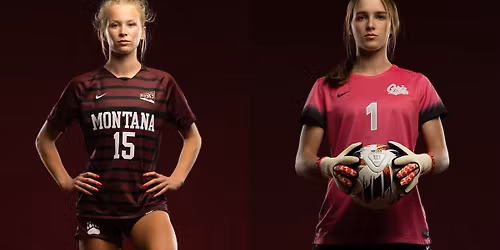 Parking Montana Lady Grizzlies at Weber State Wildcats Womens Basketball