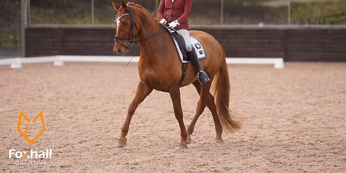 British Dressage