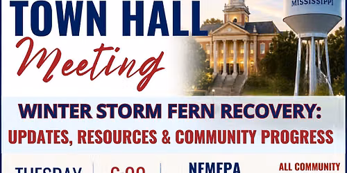 Townhall Winter Storm Fern Recovery