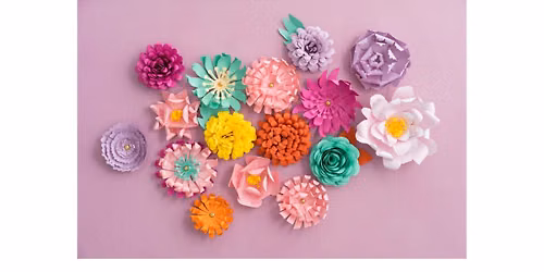 \ud83c\udf37\u2728Build a Flower Garden\u2728\ud83c\udf37
