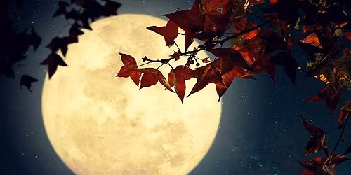 Full Moon Group Reiki (11\/06\/25)