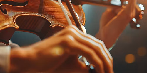 Vivaldi - Die vier Jahreszeiten I Kammerorchester der Neuen Philharmonie Hamburg