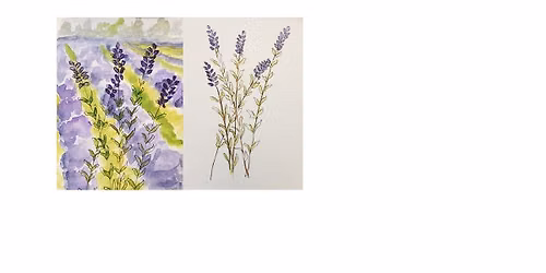 Watercolor Lavendar