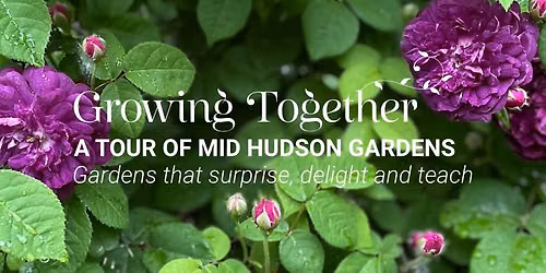 Growing Together Garden Tour