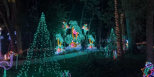 Celebration of Lights: Night 2 of 7