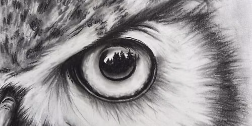 Youth Art Academy Taster Session: Draw an Owl Eye in Charcoal