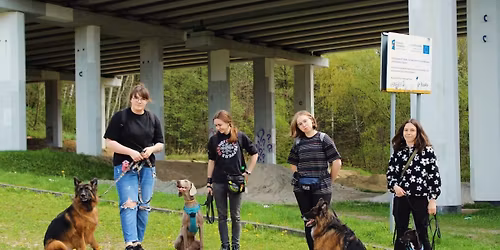 Spacer socjalizacyjny z psami 