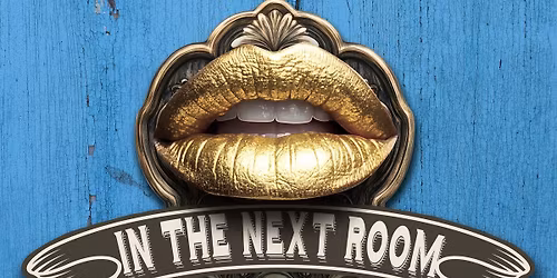 Auditions - In The Next Room. Or, The Vibrator Play