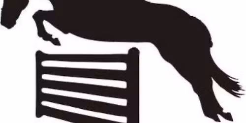 Winter Show Jumping @ Stubley Hollow 