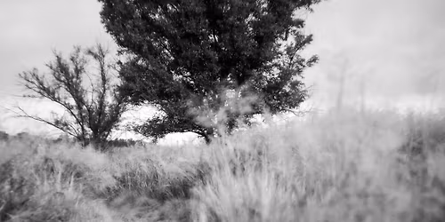 Nature Photography Hike: Fort Worth Nature Center