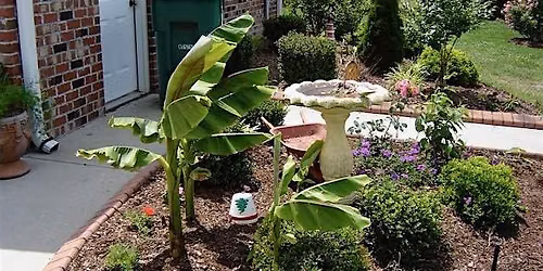 How to Use the Plant Toolbox W