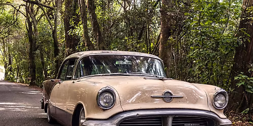 Golden Bay Rodders Car Show