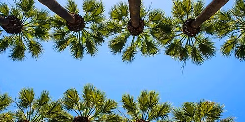 \u0396\u03ac\u03c0\u03c0\u03b5\u03b9\u03bf - \u0395\u03b8\u03bd\u03b9\u03ba\u03cc\u03c2 \u039a\u03ae\u03c0\u03bf\u03c2 - \u0397\u03c1\u03ce\u03b4\u03bf\u03c5 \u0391\u03c4\u03c4\u03b9\u03ba\u03bf\u03cd: \u03b7 \u03b1\u03c0\u03cc\u03bb\u03c5\u03c4\u03b7 \u03ba\u03c5\u03c1\u03b9\u03b1\u03ba\u03ac\u03c4\u03b9\u03ba\u03b7 \u03b2\u03cc\u03bb\u03c4\u03b1 (\u03be\u03b5\u03bd\u03b1\u03b3\u03b9\u03ba\u03cc\u03c2 \u03c0\u03b5\u03c1\u03af\u03c0\u03b1\u03c4\u03bf\u03c2)