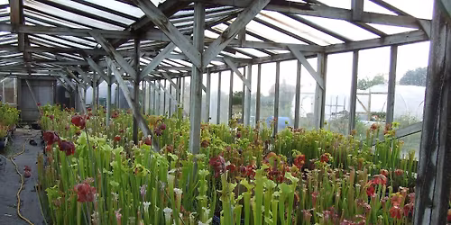 Carnivorous Plant Society AGM