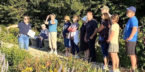 Wednesday Garden Walk - Herb Garden