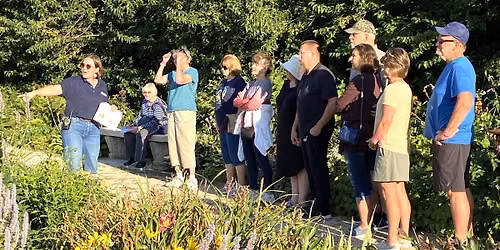 Wednesday Garden Walk - Herb Garden