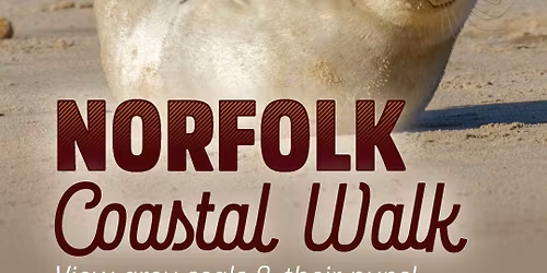 Coastal Hike with Seals