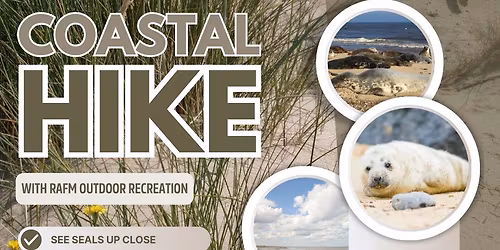 Coastal Hike with Seals