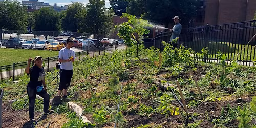 Leominster Nature-based Solutions Site Walk