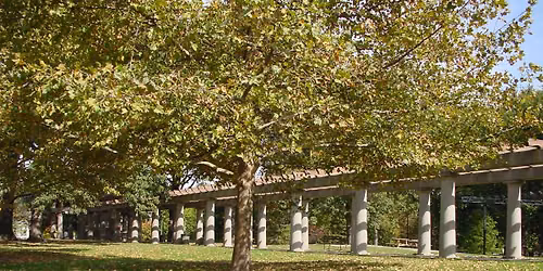 Free Yoga in Central Park 
