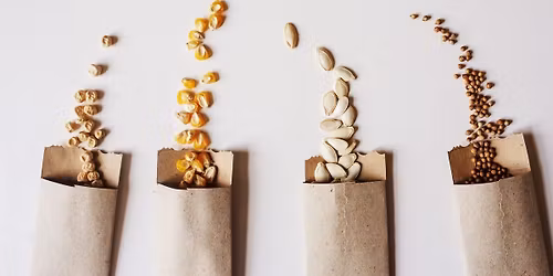 \u2728MEMBERS ONLY SEED SWAP\u2728