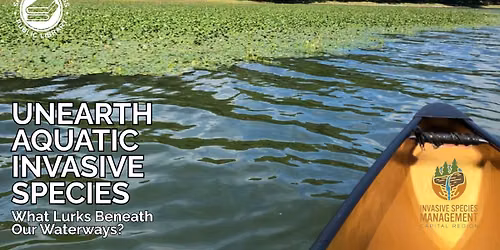 Unearth Aquatic Invasive Species: What Lurks Beneath Our Waterways?