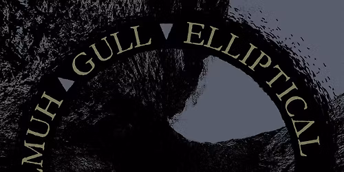 Gull, Velmuh, Elliptical Path & Drawn Bow (Blue Ridge, VA)