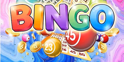 Bingo Evening