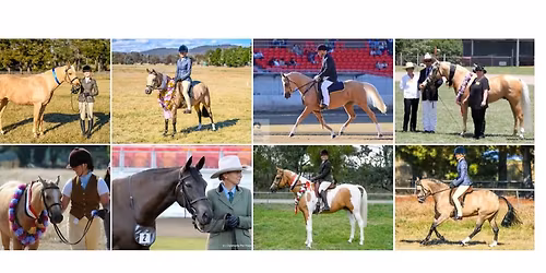 Dilutes Australia - NSW & ACT Branch Spring\/Summer Show