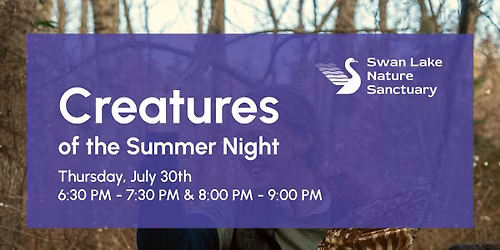 Creatures of the Summer Night with Kay
