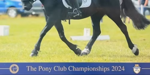 HHN Pony Club & Open Dressage Show