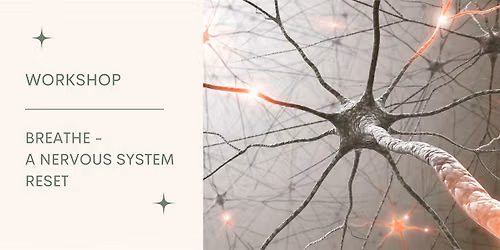 Reset Your Nervous System Through Breath
